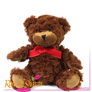 Plush Brown Bear